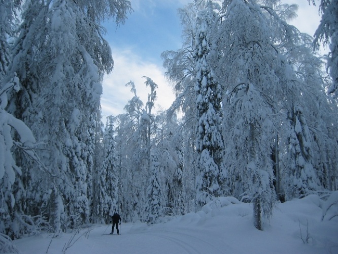 vuokatti