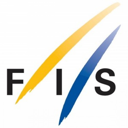 fis logo