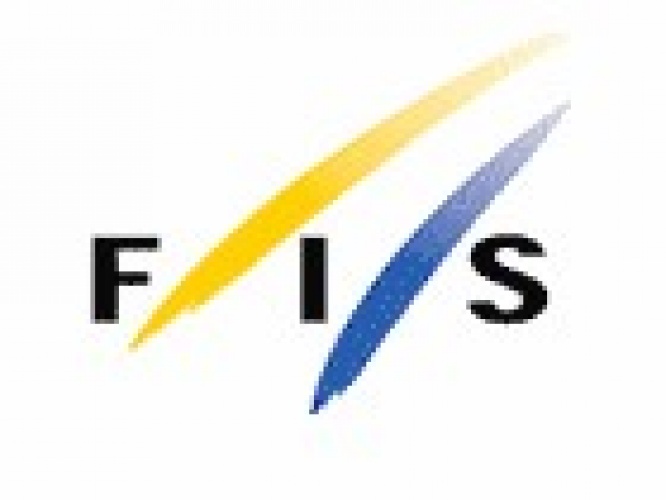 fis logo