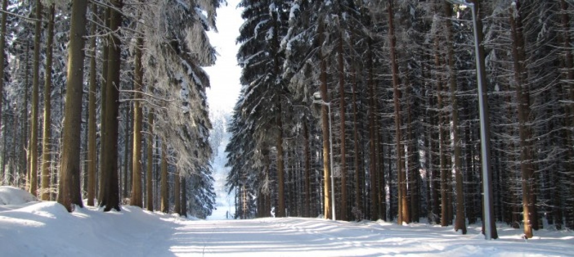 jamrozowa