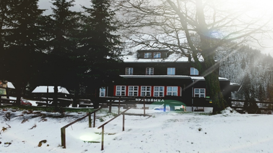 PRZYGODA