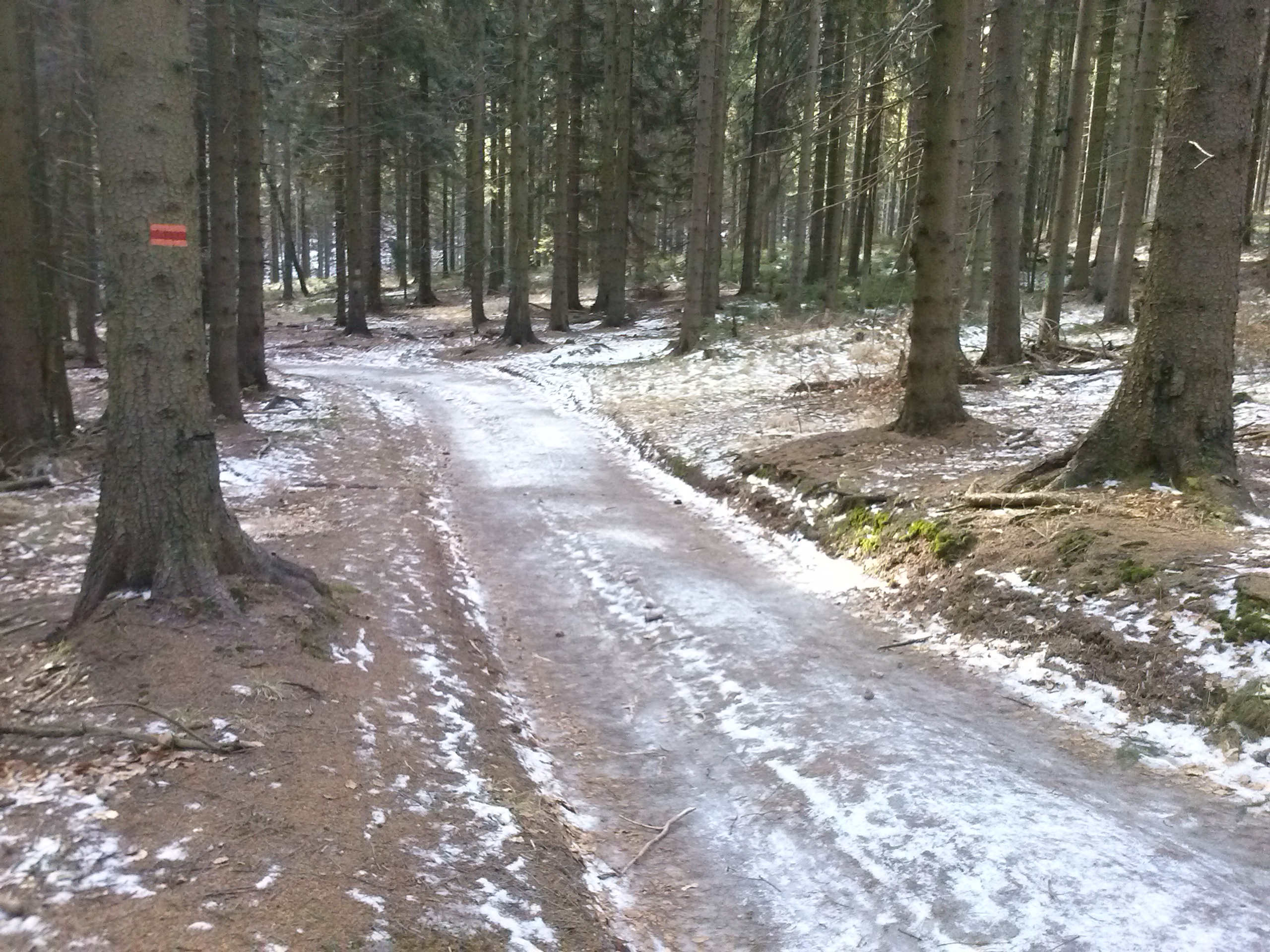 Andrzejówka