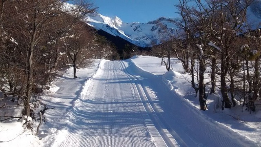 argentyna
