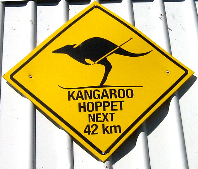 kangaroo hoppet