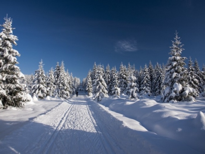 trasy biegowe