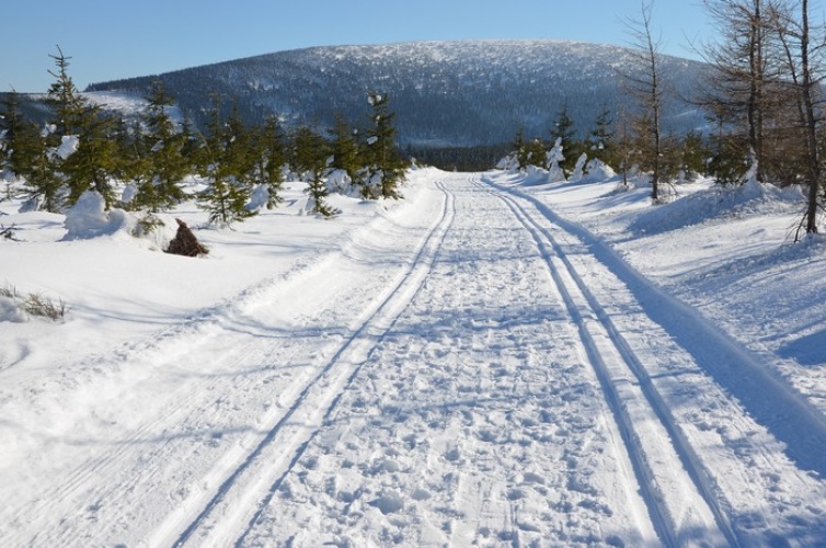 Trasy biegowe w Gorach Bialskich