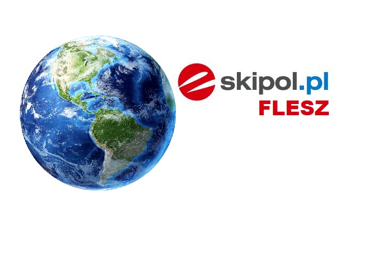 flesz logo