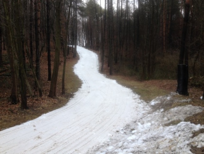 tomaszów