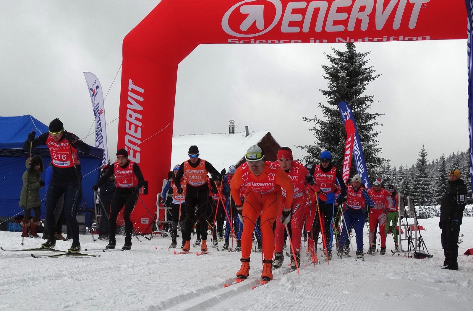 enervit classic