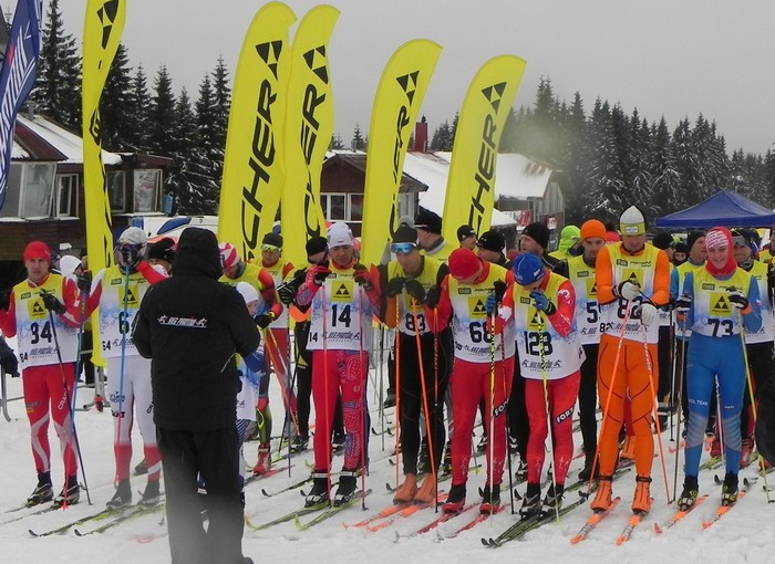 fischer cup 2016