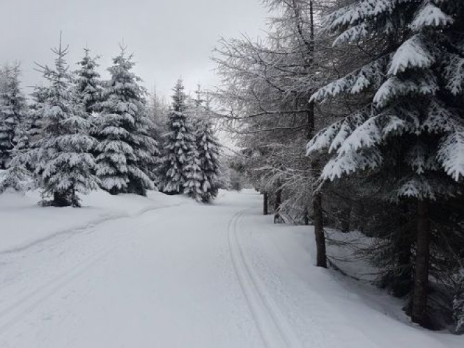 Komunikat_foto_Jakuszyce_luty_2017