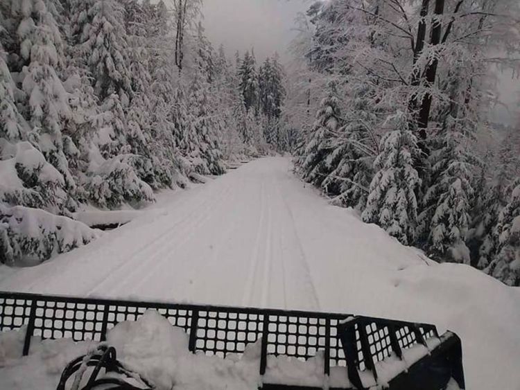 Obidowa_trasa_grudzien_2017_komunikat_fot_Zofia_Faron
