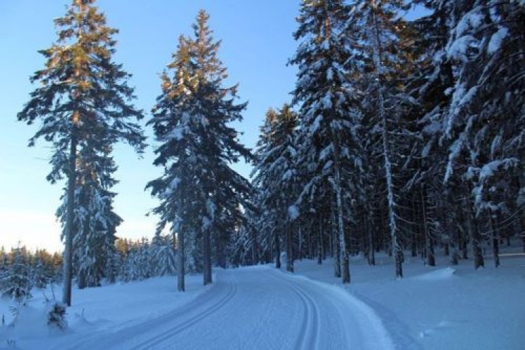 Trasa_Jeleniogorska_fot_Beg_Piastow