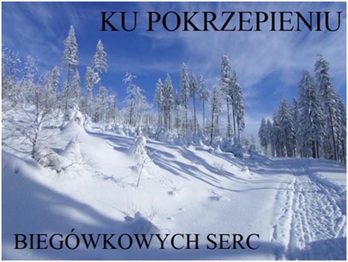 images/rok_2017/foto_wislan_2017_2.jpg wiślan