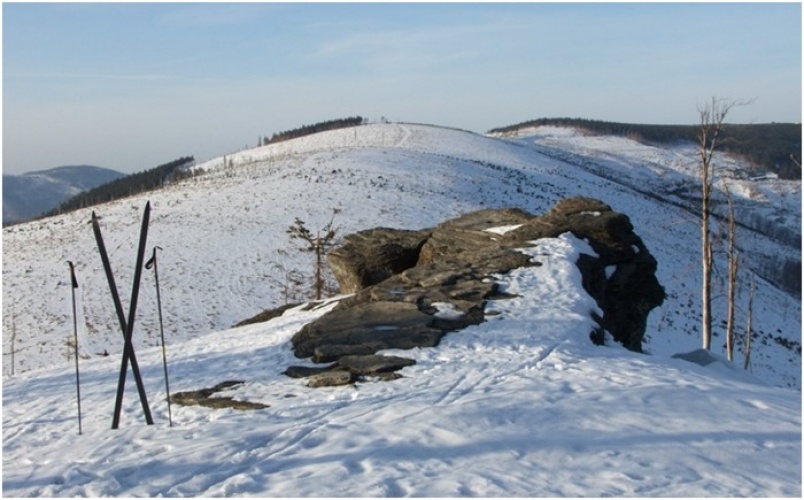 wiślan