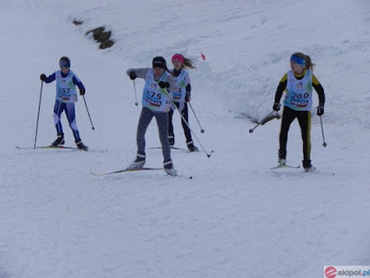 IMS_lyzwa_2018_bialka