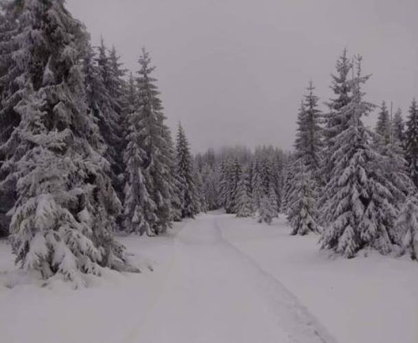 images/rok_2018/Turbacz.jpg Turbacz1