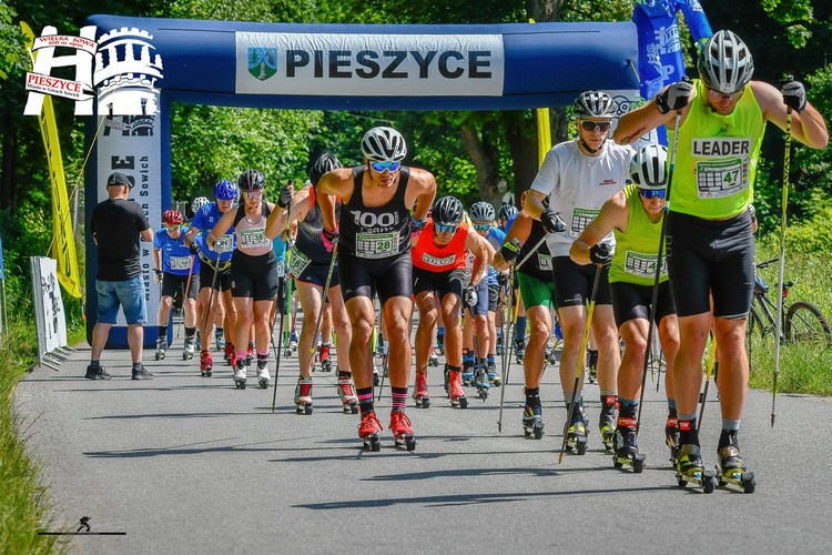 pieszyce