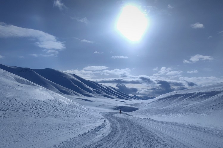 svalbard